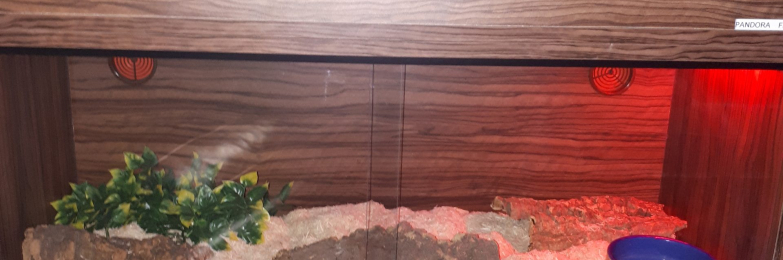 Snake Vivarium Unit