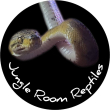 Jungle Room Reptiles